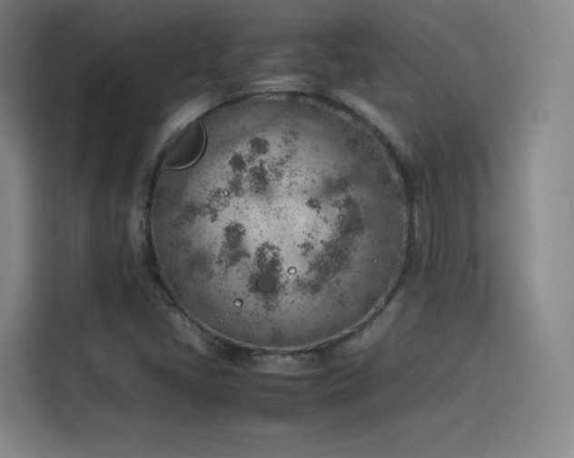 X0000114221405200910161258