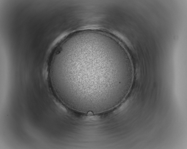 X0000114221406200910161258