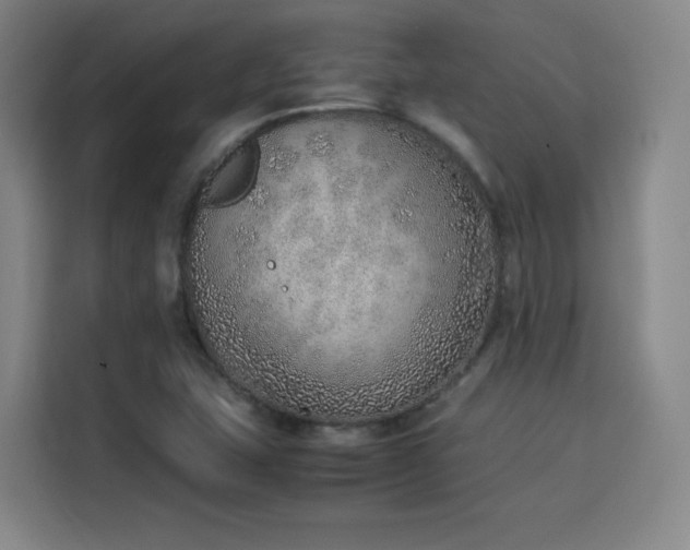 X0000114221407200910161258