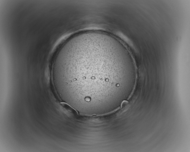 X0000114221408200910161258