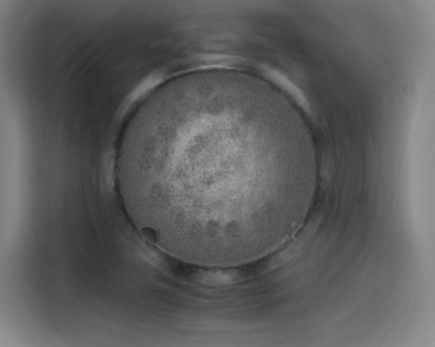 X0000114221411200910161258