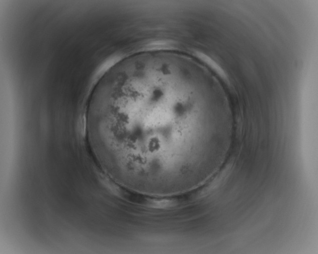 X0000114221413200910161258