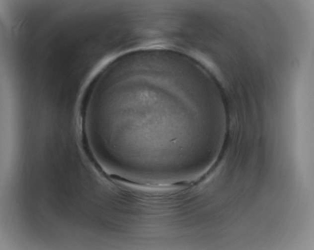 X0000114221414200910161258