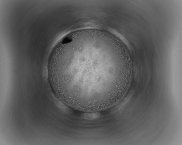 X0000114221415200910161258