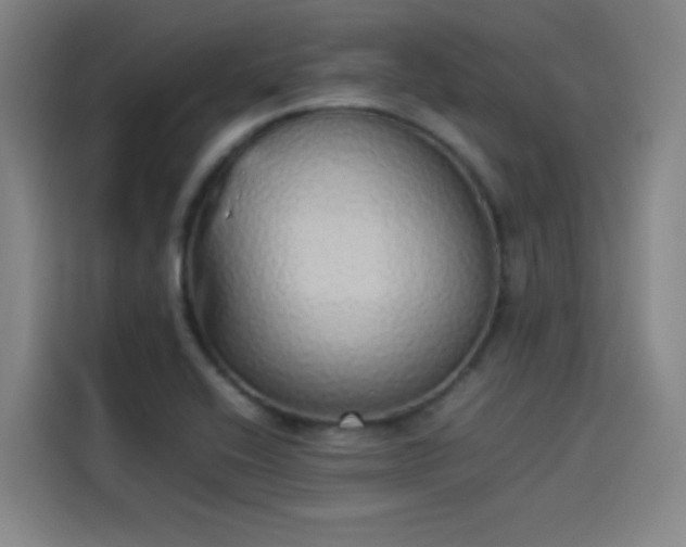 X0000114221416200910161258