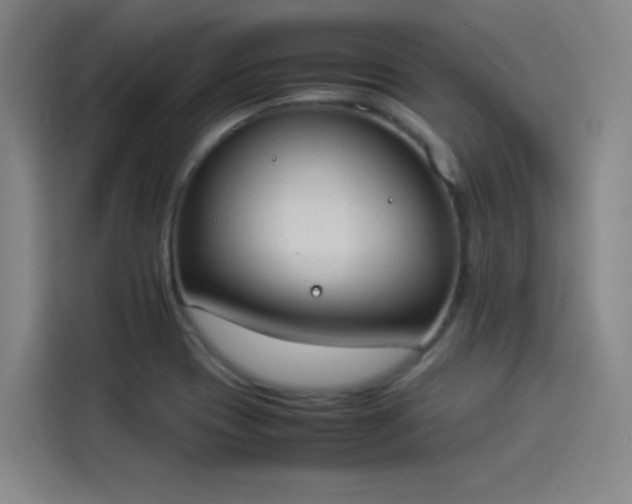 X0000114221417200910161258