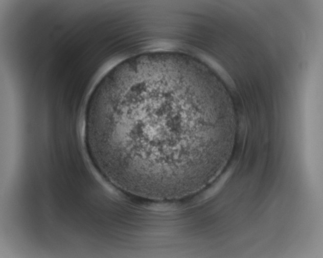 X0000114221418200910161258