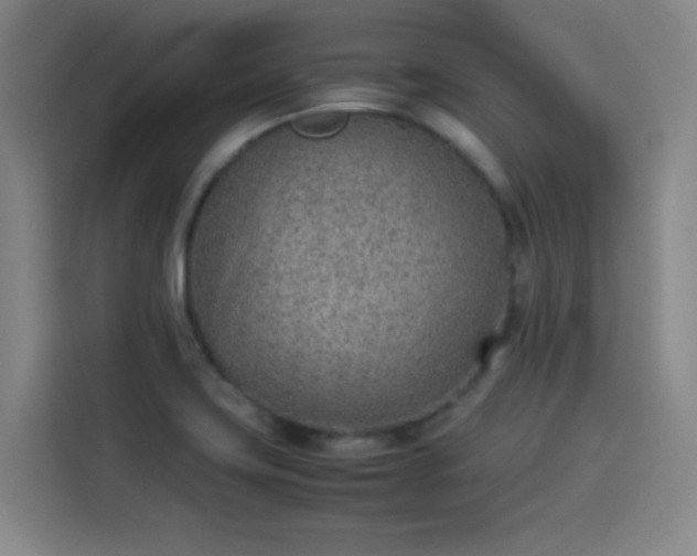 X0000114221419200910161258