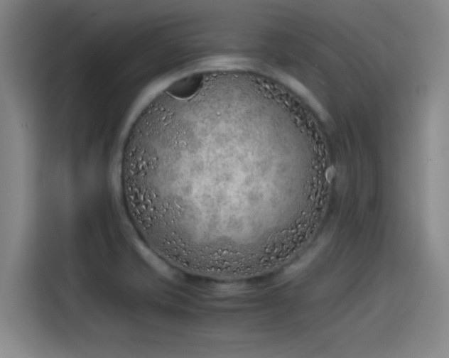 X0000114221421200910161258