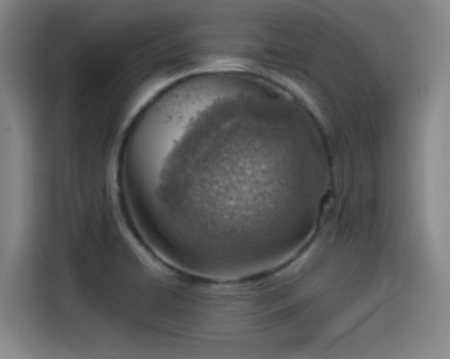 X0000114221422200910161258