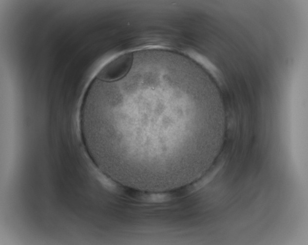 X0000114221423200910161258