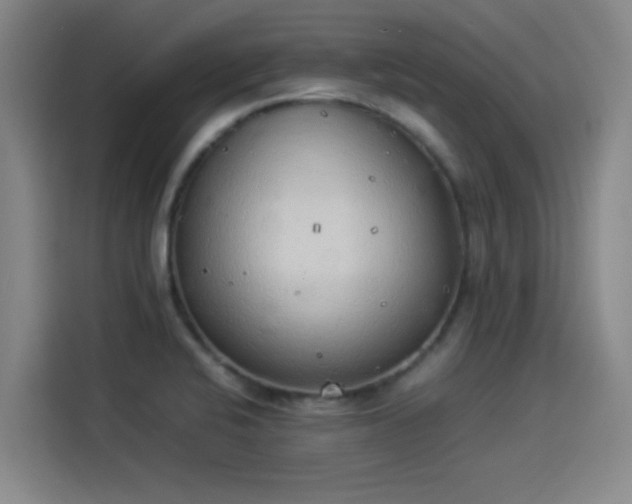 X0000114221424200910161258