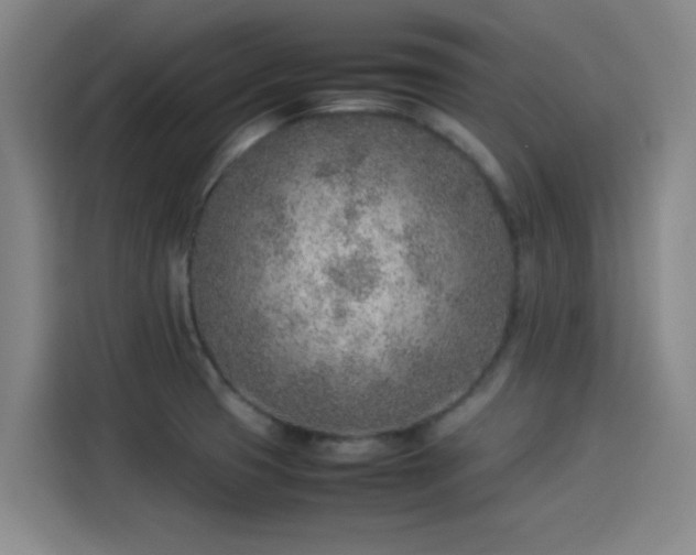 X0000114221425200910161258