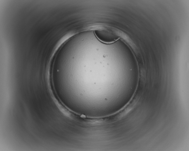 X0000114221426200910161258