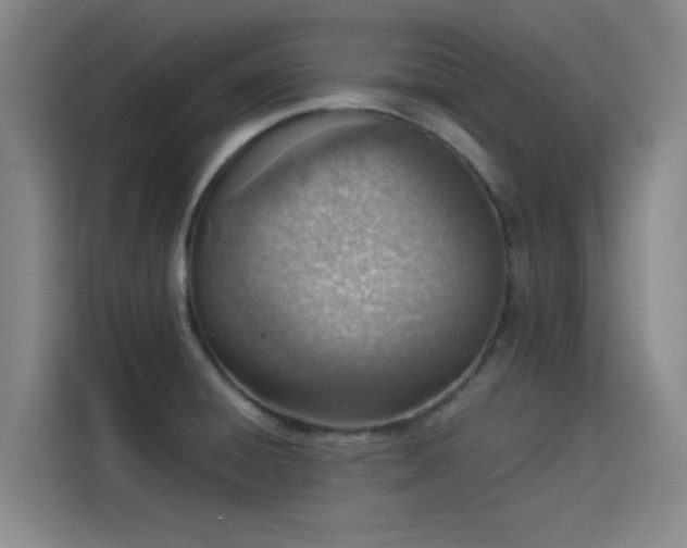 X0000114221428200910161258