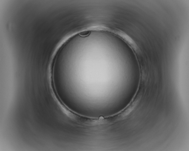 X0000114221430200910161258