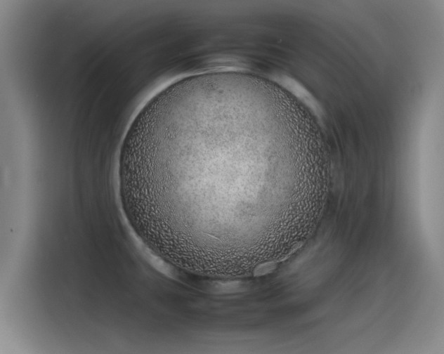 X0000114221431200910161258