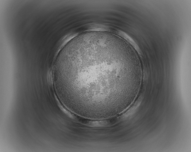 X0000114221433200910161258