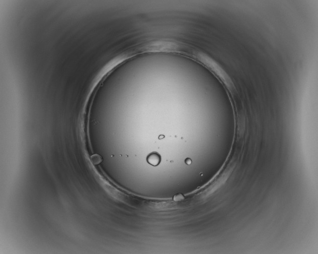 X0000114221434200910161258