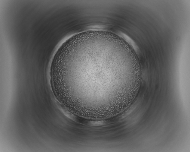 X0000114221435200910161258