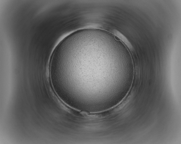 X0000114221436200910161258