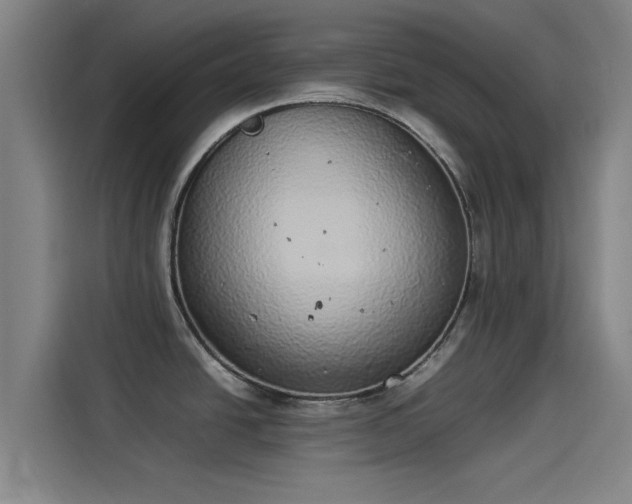 X0000114221438200910161259