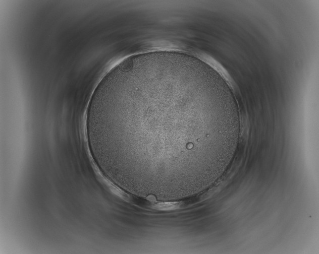 X0000114221439200910161259