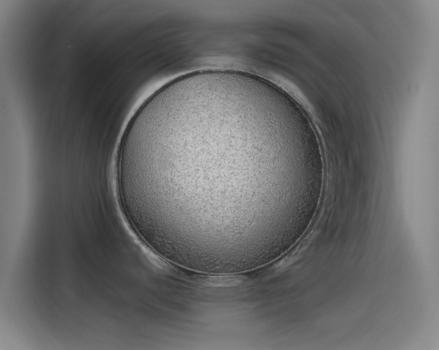 X0000114221440200910161259