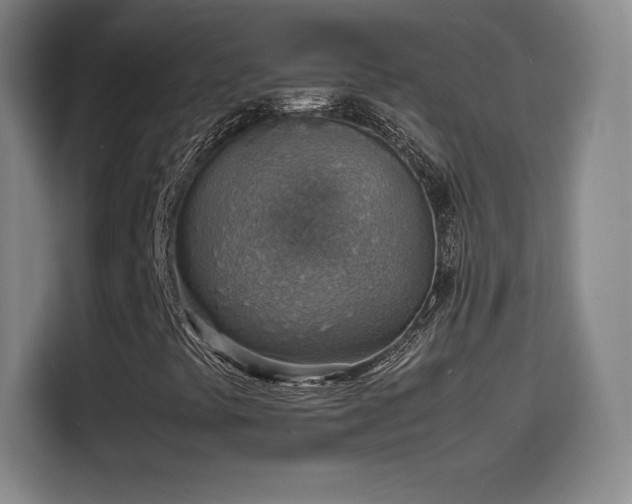 X0000114221441200910161258