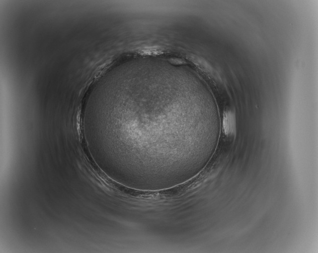 X0000114221444200910161258