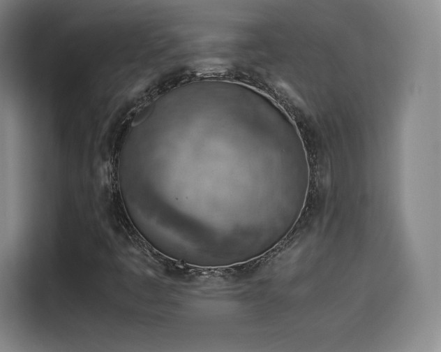 X0000114221445200910161258