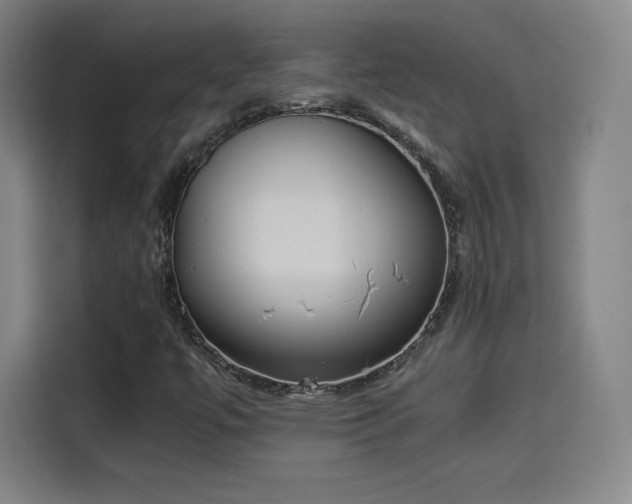 X0000114221447200910161258