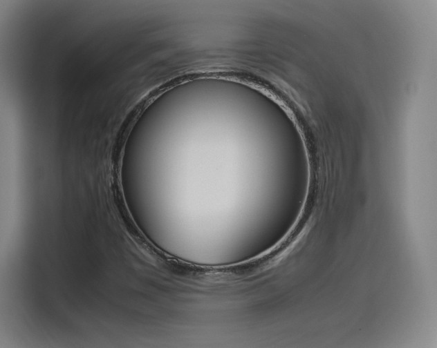 X0000114221449200910161258