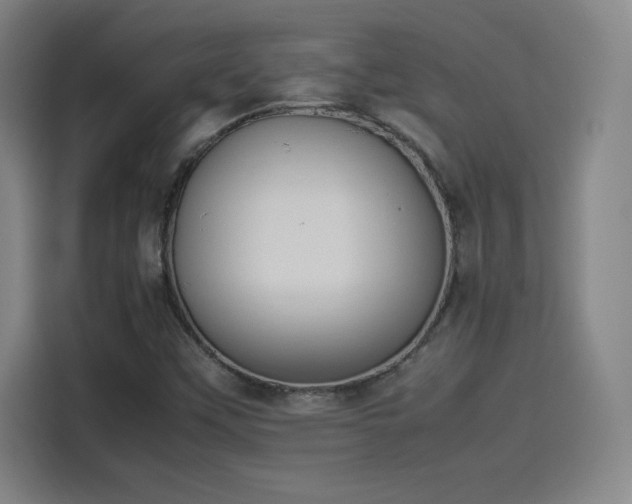 X0000114221451200910161258