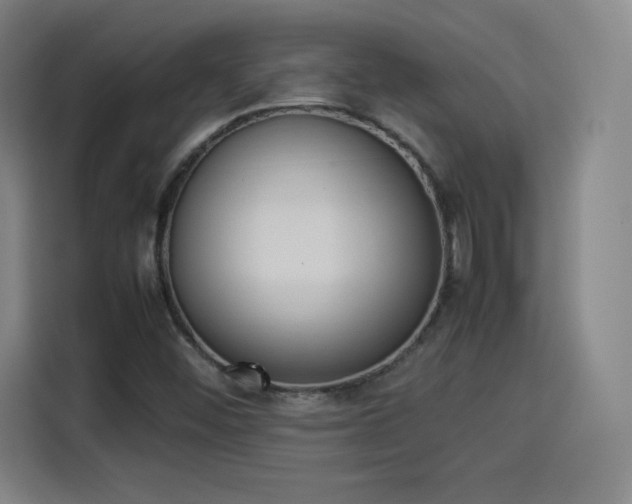 X0000114221452200910161258