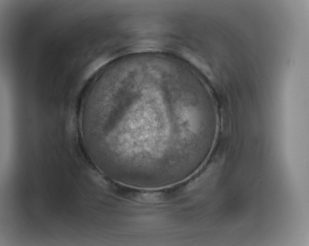 X0000114221453200910161258