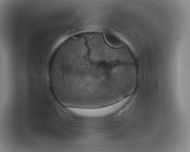 X0000114221455200910161258