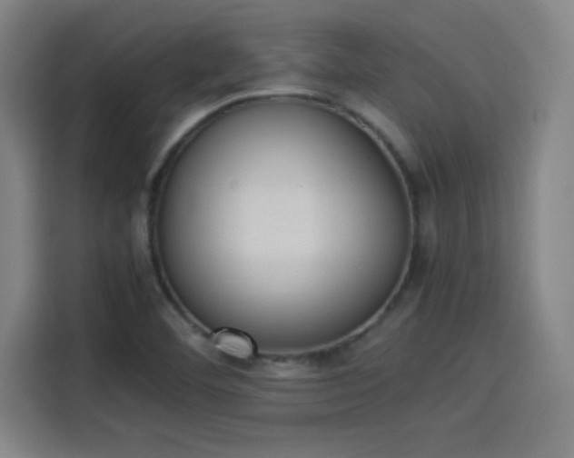 X0000114221460200910161258