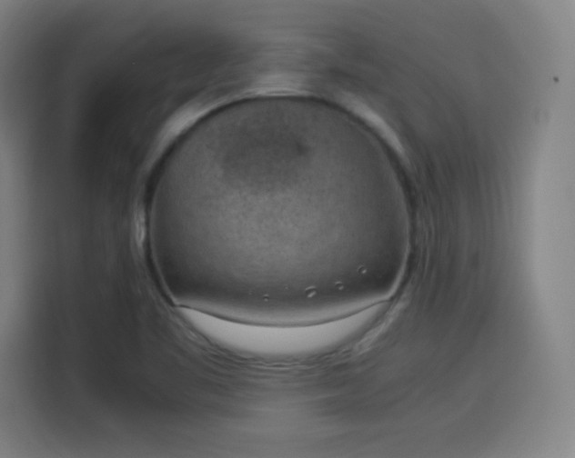 X0000114221461200910161258