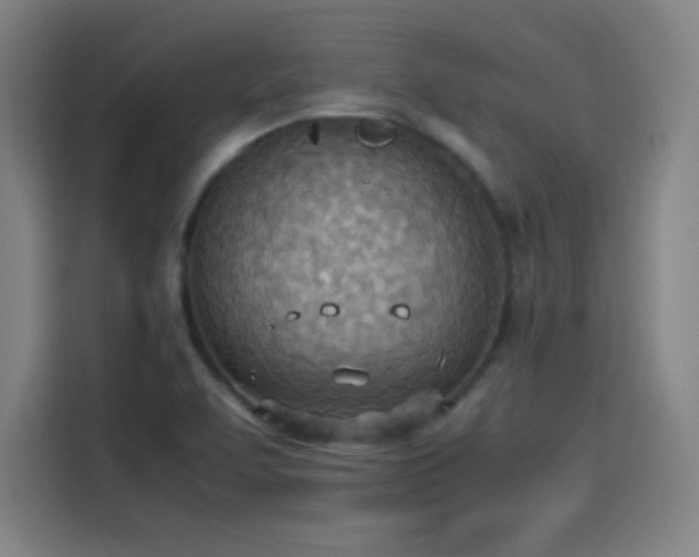 X0000114221463200910161258