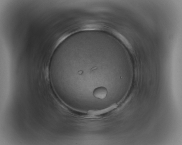 X0000114221465200910161258