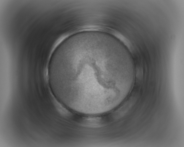 X0000114221466200910161258