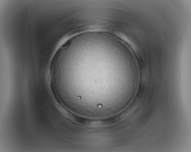 X0000114221467200910161258