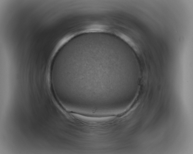 X0000114221469200910161258