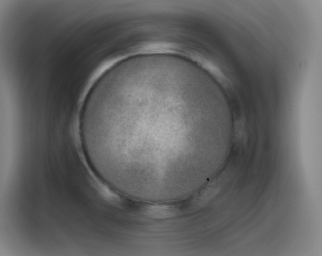 X0000114221470200910161258