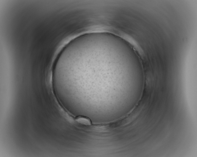 X0000114221472200910161258