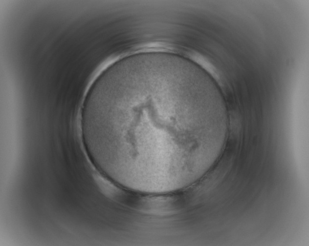 X0000114221474200910161257