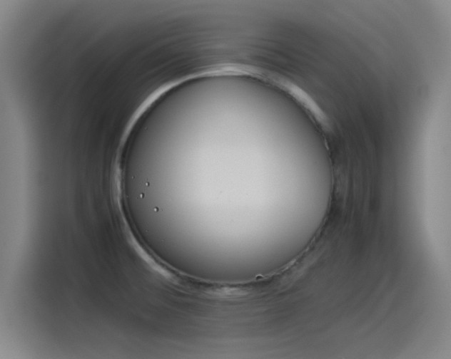 X0000114221476200910161257