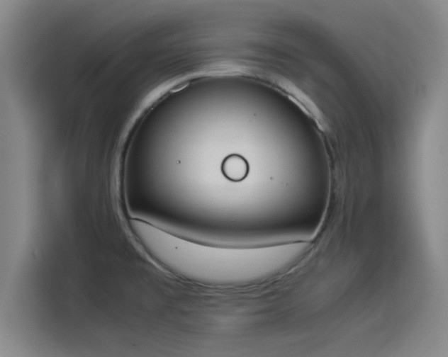 X0000114221477200910161257