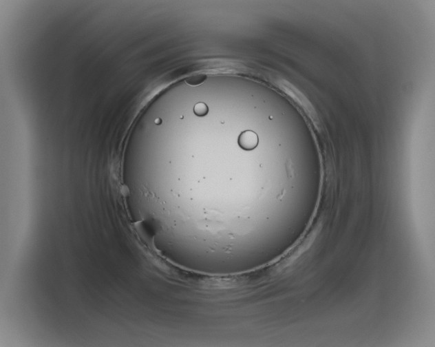 X0000114221481200910161257